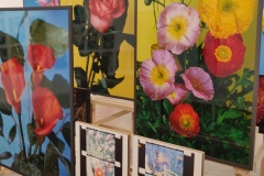 IMG_20230521_165204